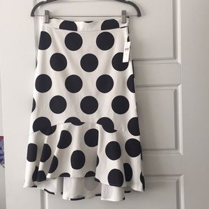 Anthropologie Polka Dot Skirt